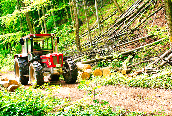 Schlüter Traktor bei der Forstarbeit
